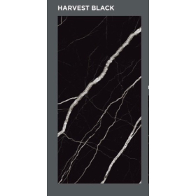 Gạch nhập khẩu Ấn Độ 60x120cm - 036
